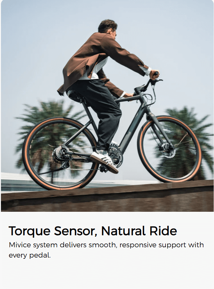 จักรยานไฟฟ้า FIIDO C21